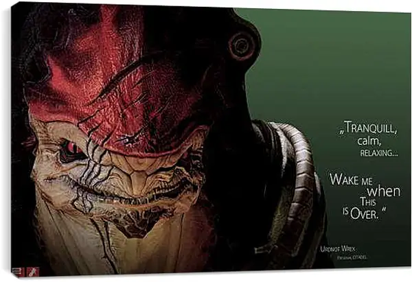 Постер на подрамнике - Mass Effect 2