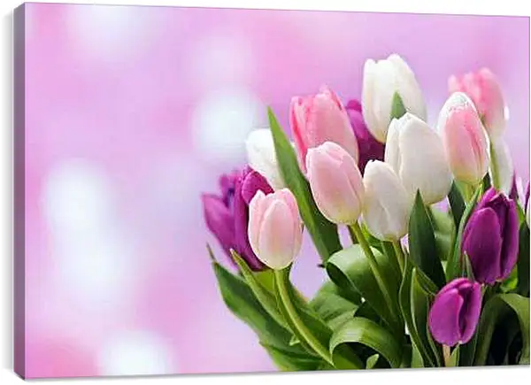 Постер на подрамнике - Букет тюльпанов