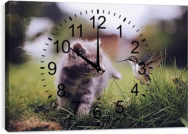 Часы картина - Колибри и котёнок
