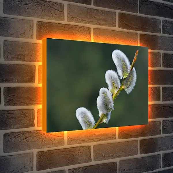 Лайтбокс световая панель - Весна