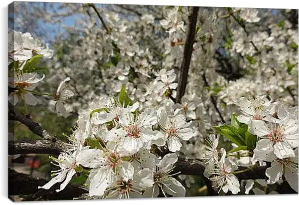 Постер на подрамнике - Весна