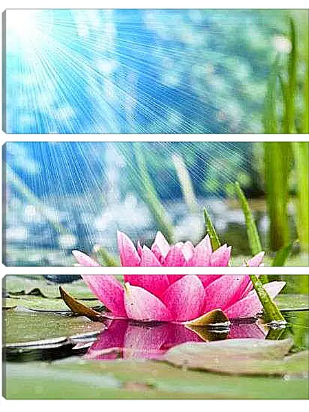 Модульная картина - Красная кувшинка под лучами