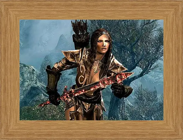 Картина в раме - The Elder Scrolls V: Skyrim
