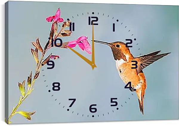 Часы картина - Колибри