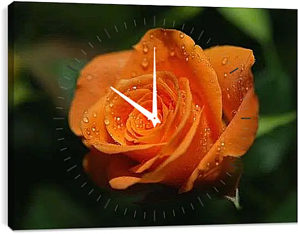 Часы картина - Оранжевая роза