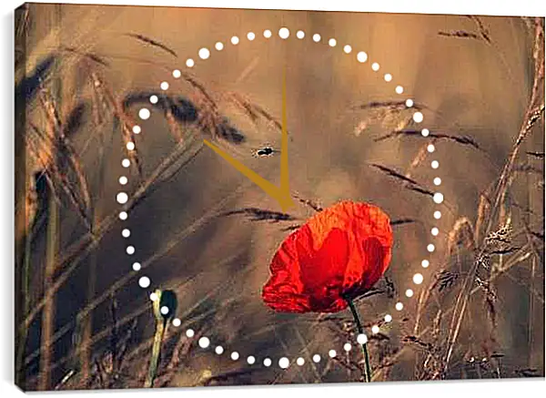 Часы картина - Одинокий мак