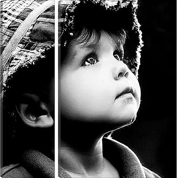 Модульная картина - Взгляд с надеждой