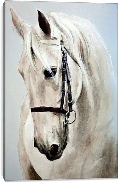 Постер на подрамнике - Морда белой лошади