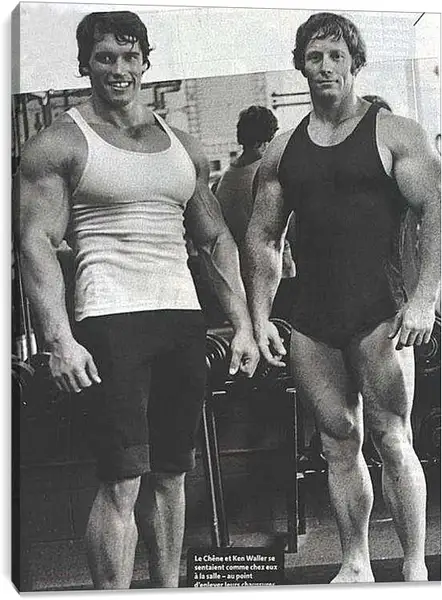 Постер на подрамнике - Арнольд Шварценеггер (Arnold Schwarzenegger)