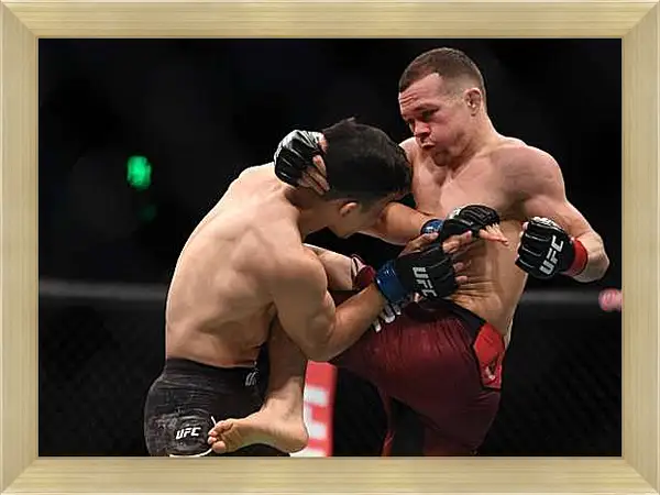 Картина в раме - UFC. MMA. Пётр Ян