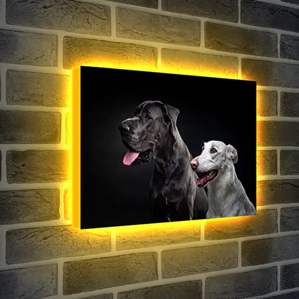 Лайтбокс световая панель - Две собаки