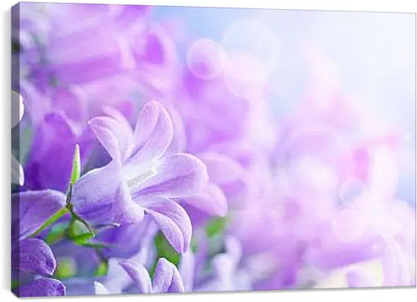 Постер на подрамнике - Сиреневые колокольчики