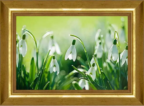Картина в раме - Подснежники весной