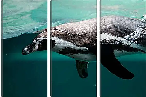 Модульная картина - Пингвин в воде