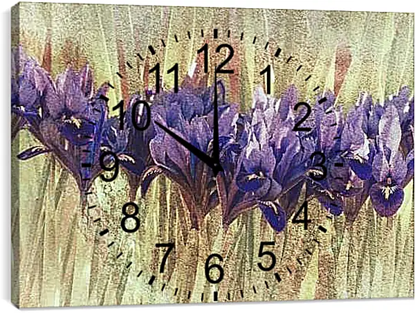 Часы картина - Луковичные ирисы
