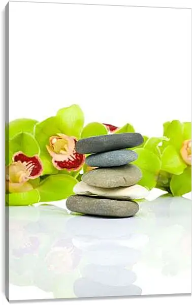 Постер на подрамнике - Зеленые цветы и камни