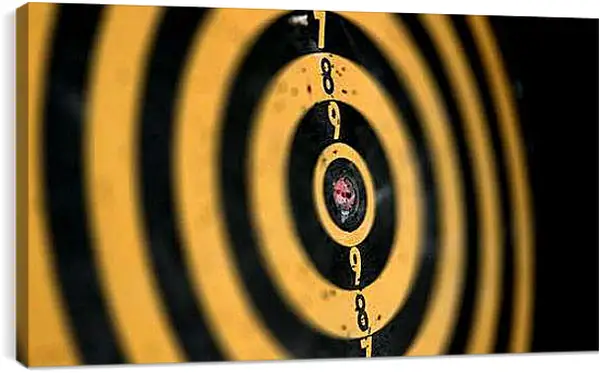 Постер на подрамнике - Мишень. Дартс.