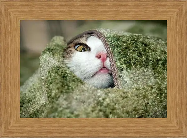 Картина в раме - Портрет кошки на зеленом фоне