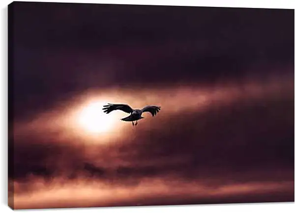 Постер на подрамнике - Чёрный ворон на фоне солнца