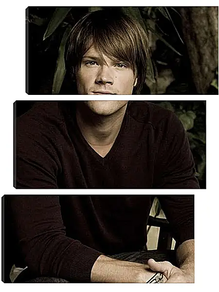 Модульная картина - Джаред Падалеки. Jared Padalecki