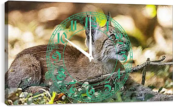 Часы картина - Рысь