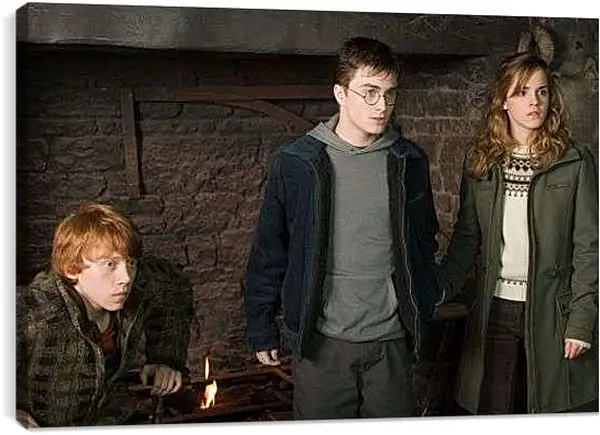 Постер на подрамнике - Гарри Поттер и Орден Феникса