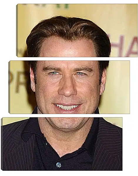 Модульная картина - Джон Траволта. John Travolta