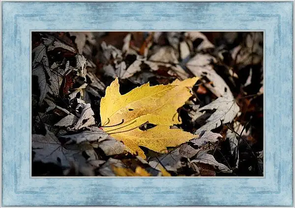 Картина в раме - Осень