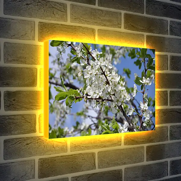 Лайтбокс световая панель - Весна