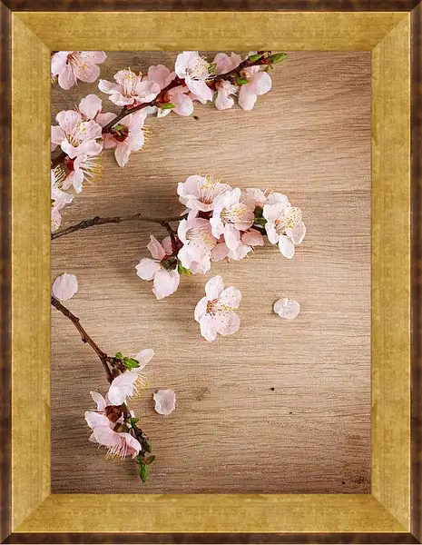Картина в раме - Ветка сакуры