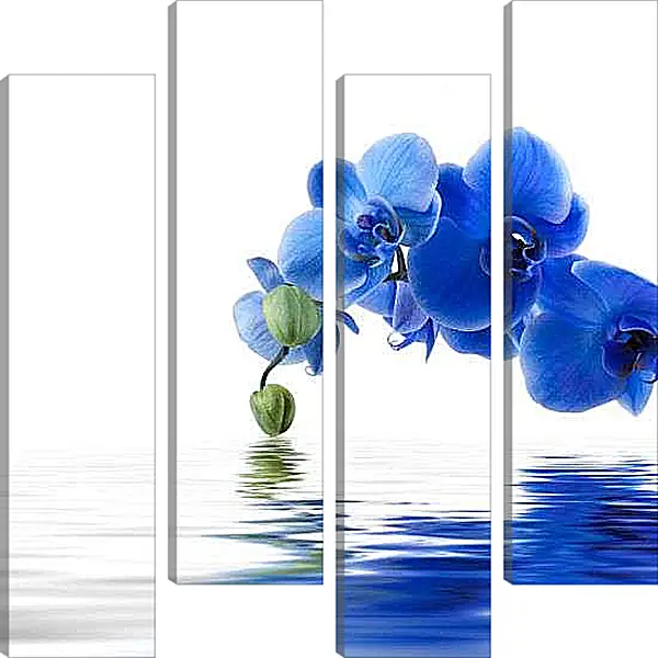 Модульная картина - Синяя орхидея