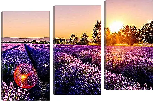 Модульная картина - Лавандовое поле