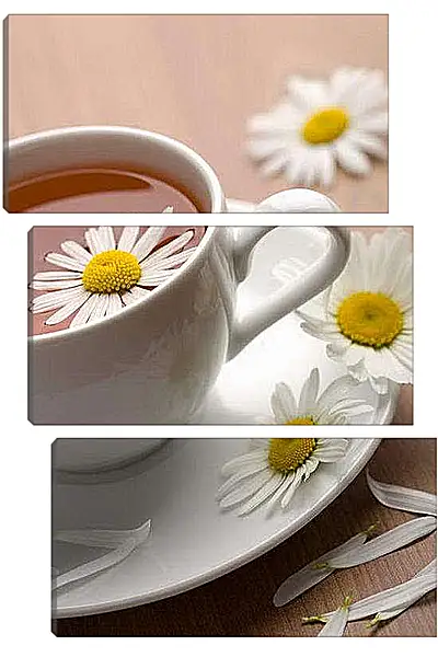 Модульная картина - Ромашковый чай. Чай с ромашкой.