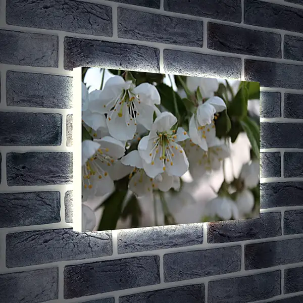 Лайтбокс световая панель - Весна