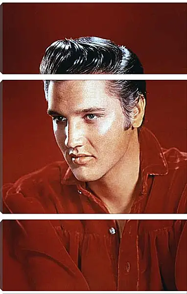 Модульная картина - Элвис Пресли. Elvis Presley