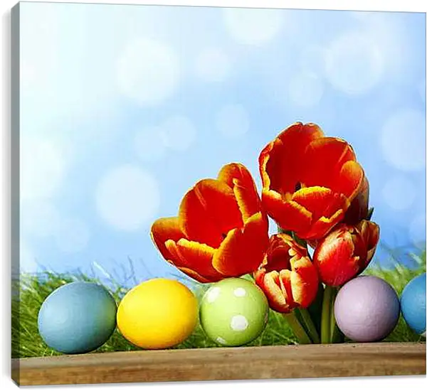 Постер на подрамнике - Тюльпаны