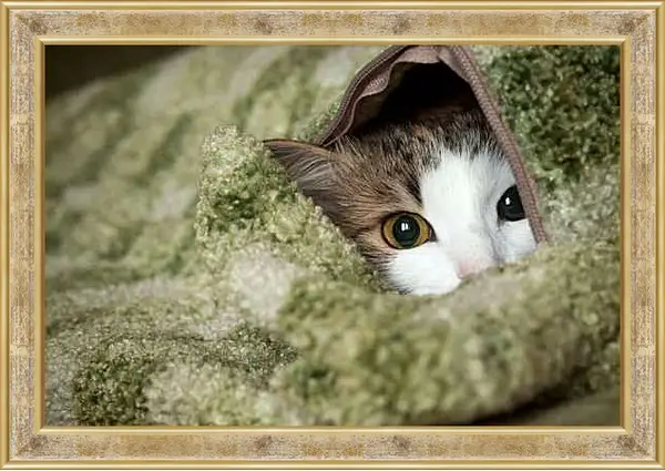 Картина в раме - Коша в наволочке