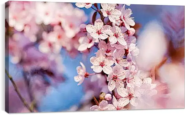 Постер на подрамнике - Весна