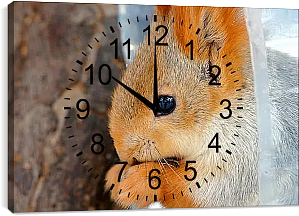 Часы картина - Белка