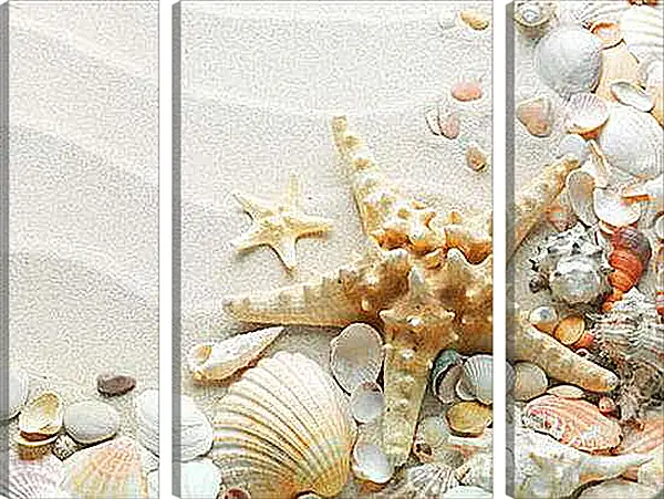 Модульная картина - Морская звезда на пляже