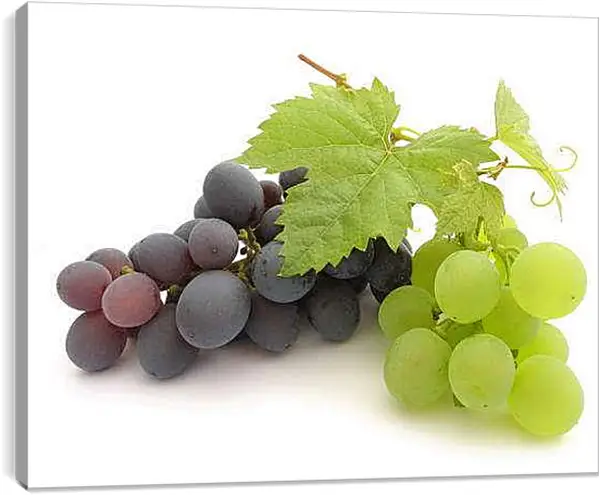 Постер на подрамнике - Гроздья винограда. Спелый урожай.