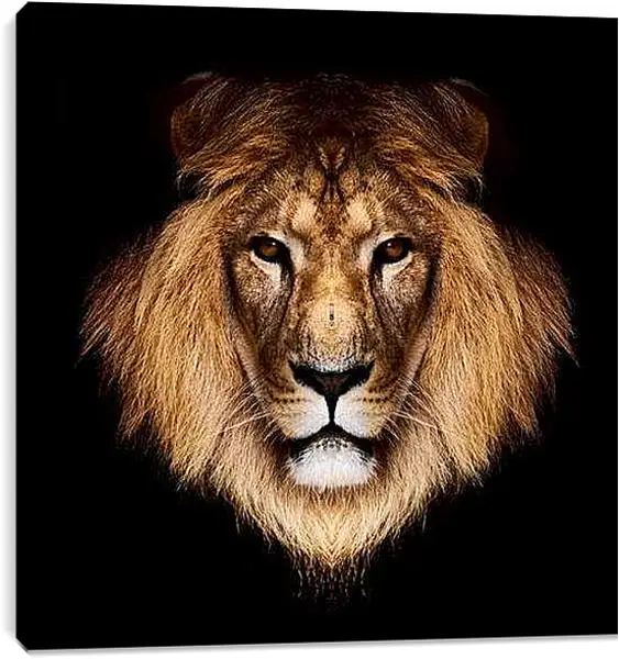 Постер на подрамнике - лев