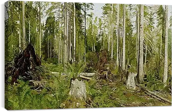 Постер на подрамнике - Сосновый лес. Иван Шишкин