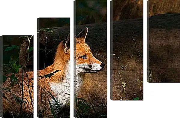 Модульная картина - Лисица