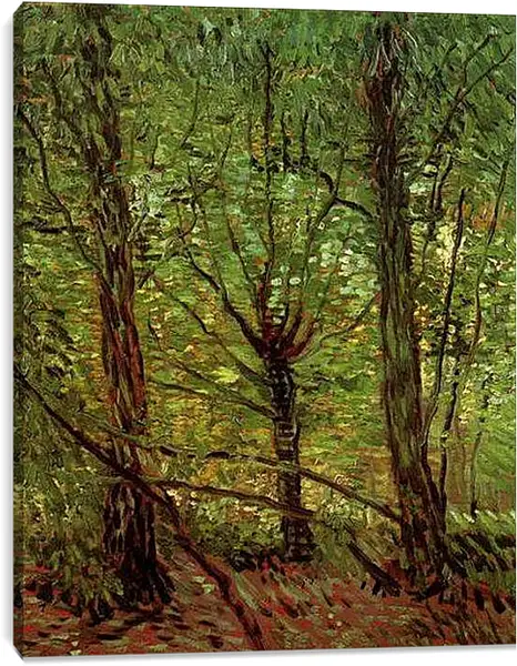 Постер на подрамнике - Trees and Undergrowth. Винсент Ван Гог
