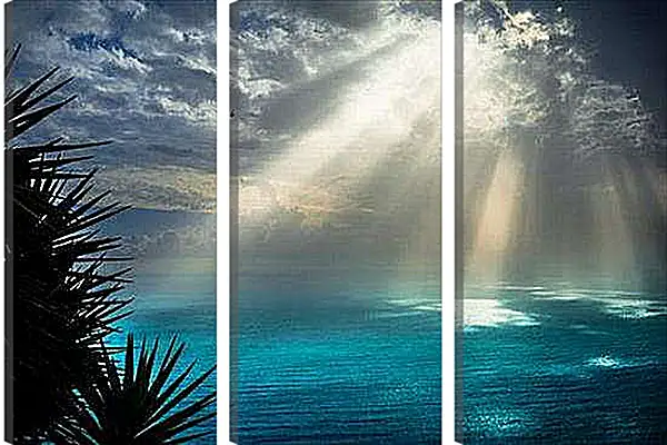 Модульная картина - природа