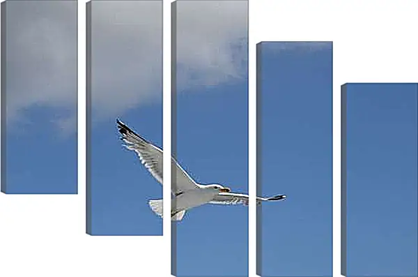 Модульная картина - Чайка