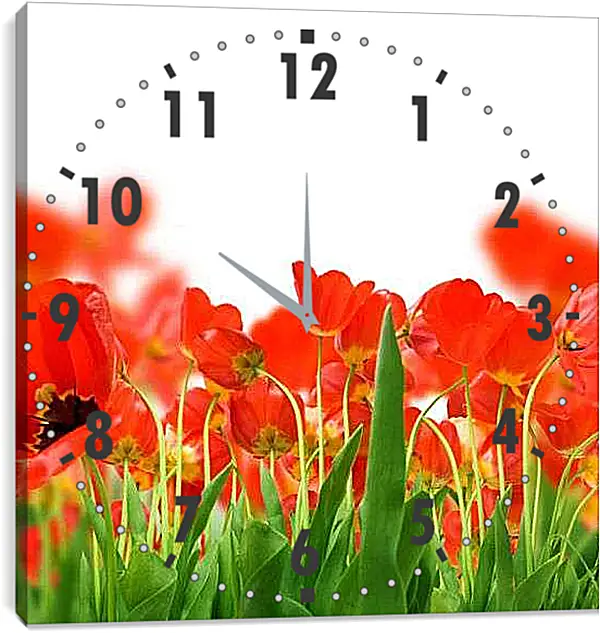 Часы картина - Маки на лугу