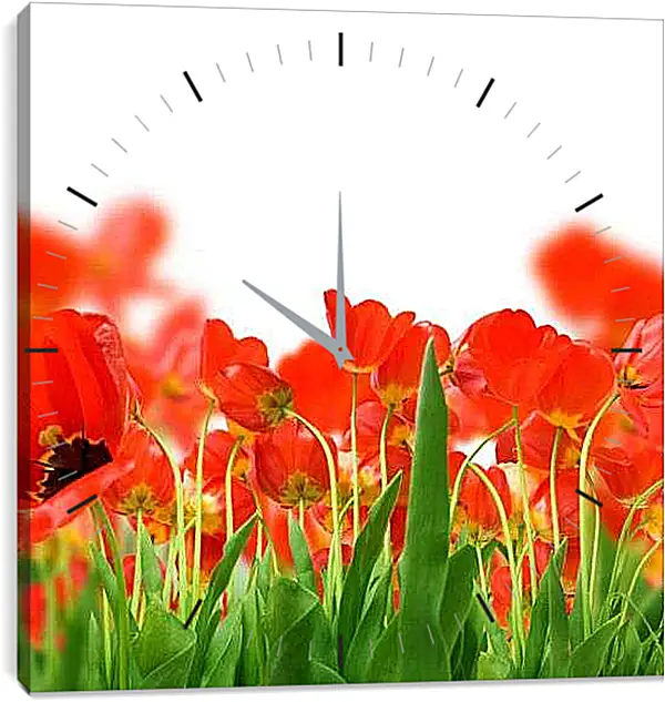 Часы картина - Маки на лугу