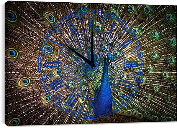Часы картина - Павлин с распущенным хвостом